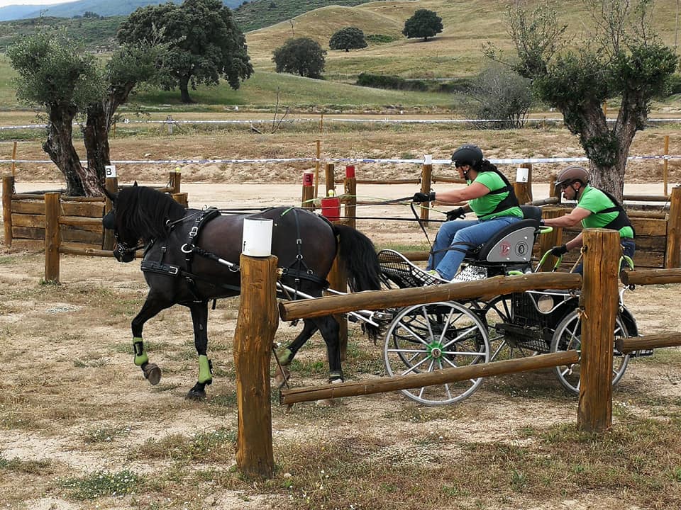 Excelente representación Navarra en la Copa S.M. el Rey de Enganches 2018